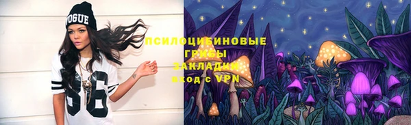 прущие крисы Балабаново