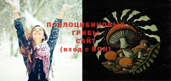 мет Ладушкин