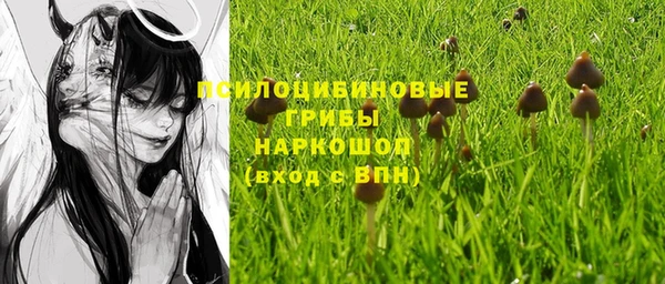 прущие крисы Балабаново