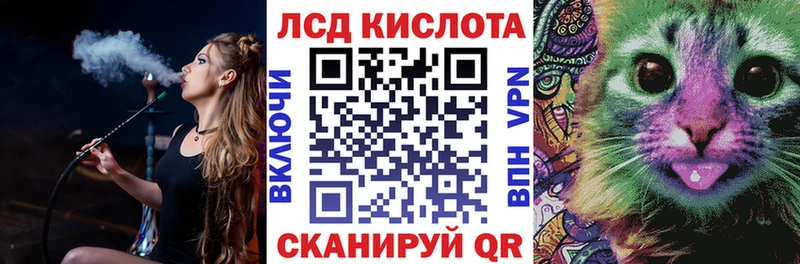 Марки N-bome 1500мкг  как найти наркотики  гидра tor  Волгореченск 