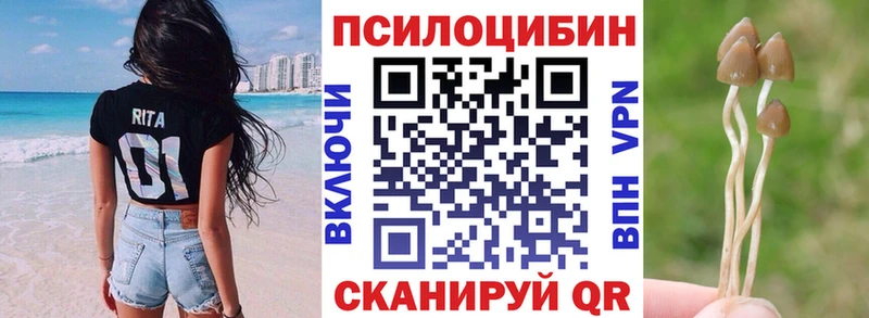 Псилоцибиновые грибы Magic Shrooms  закладки  Волгореченск 